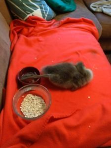 IMG 20180605 2005311 scaled 225x300 - Fotos