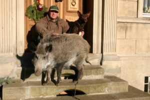 db 119 19651 300x200 - Fotos