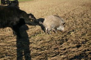 db 119 19761 300x200 - Fotos