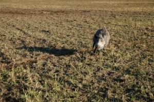 db 119 19811 300x200 - Fotos