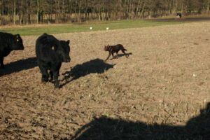 db 120 20211 300x200 - Fotos