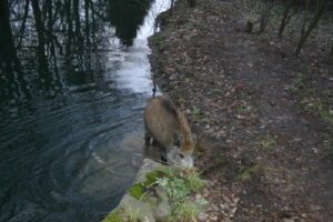 db 914 Das tat gut1 300x200 - Fotos