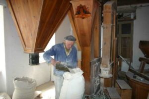 Müller Martin Röthel