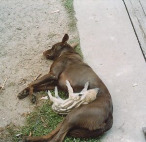 db Paul Puschel1 300x292 - Fotos