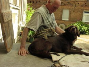 db Puschel Paul MRs1 300x225 - Fotos