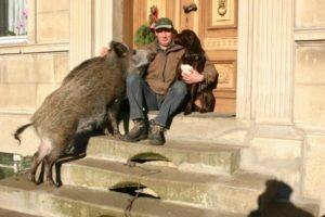 db Puschel Paul Mr1 300x200 - Fotos