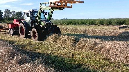 Heu pressen mit Fendt 211 und Hochdruckpresse MF 1840
#fendt211 #MF1840